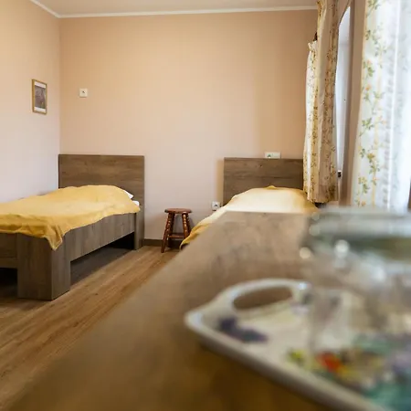 Viktorka - Restaurace, Wellness, Hotel Česká Skalice